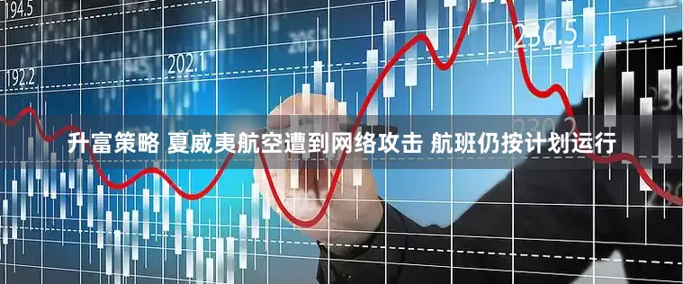 升富策略 夏威夷航空遭到网络攻击 航班仍按计划运行