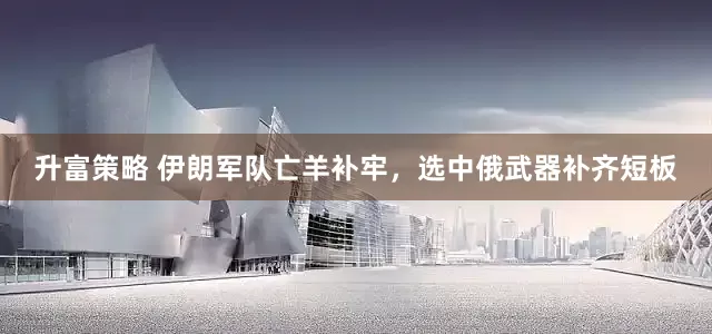 升富策略 伊朗军队亡羊补牢，选中俄武器补齐短板